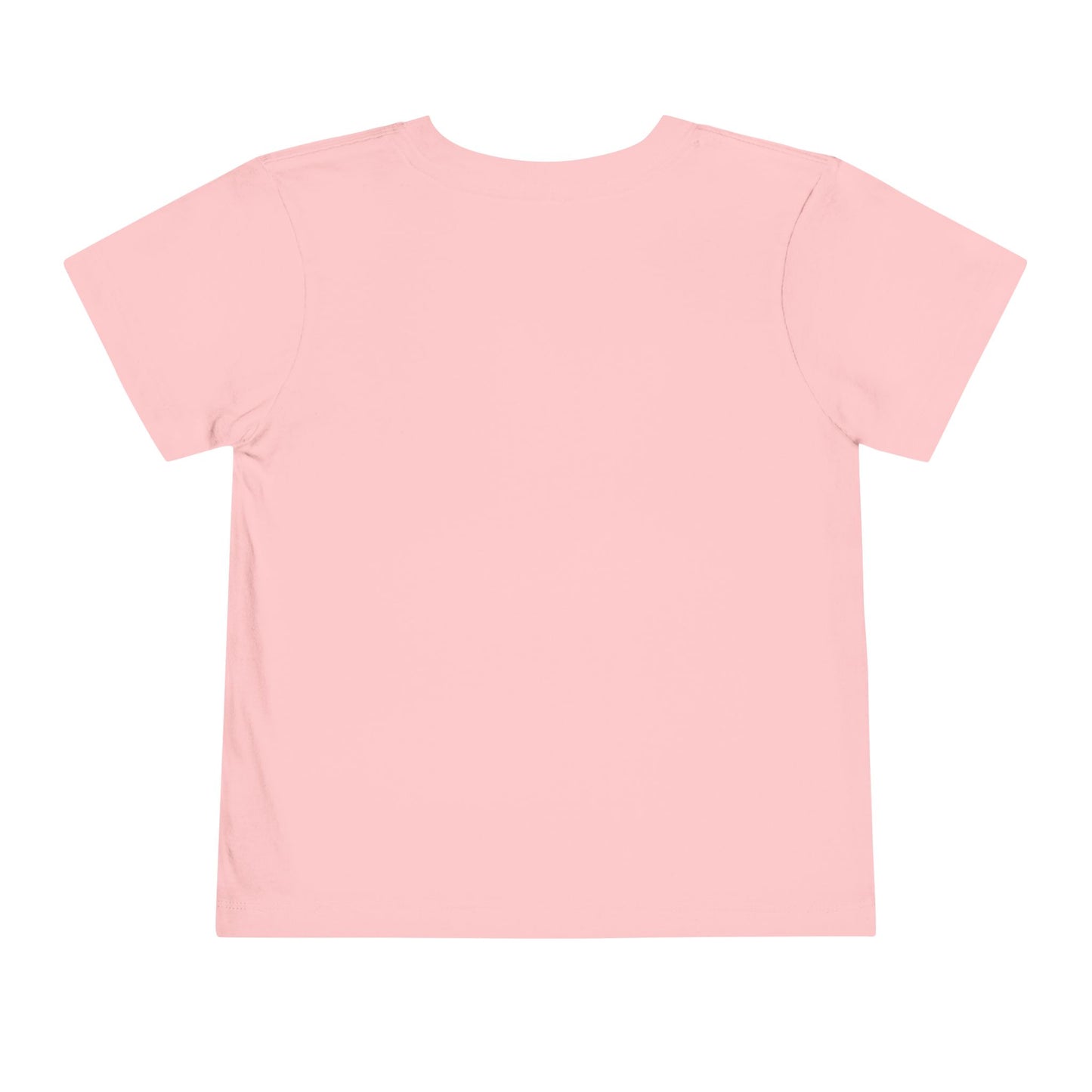 Fly it Like You Stole It - Toddler T-Shirt