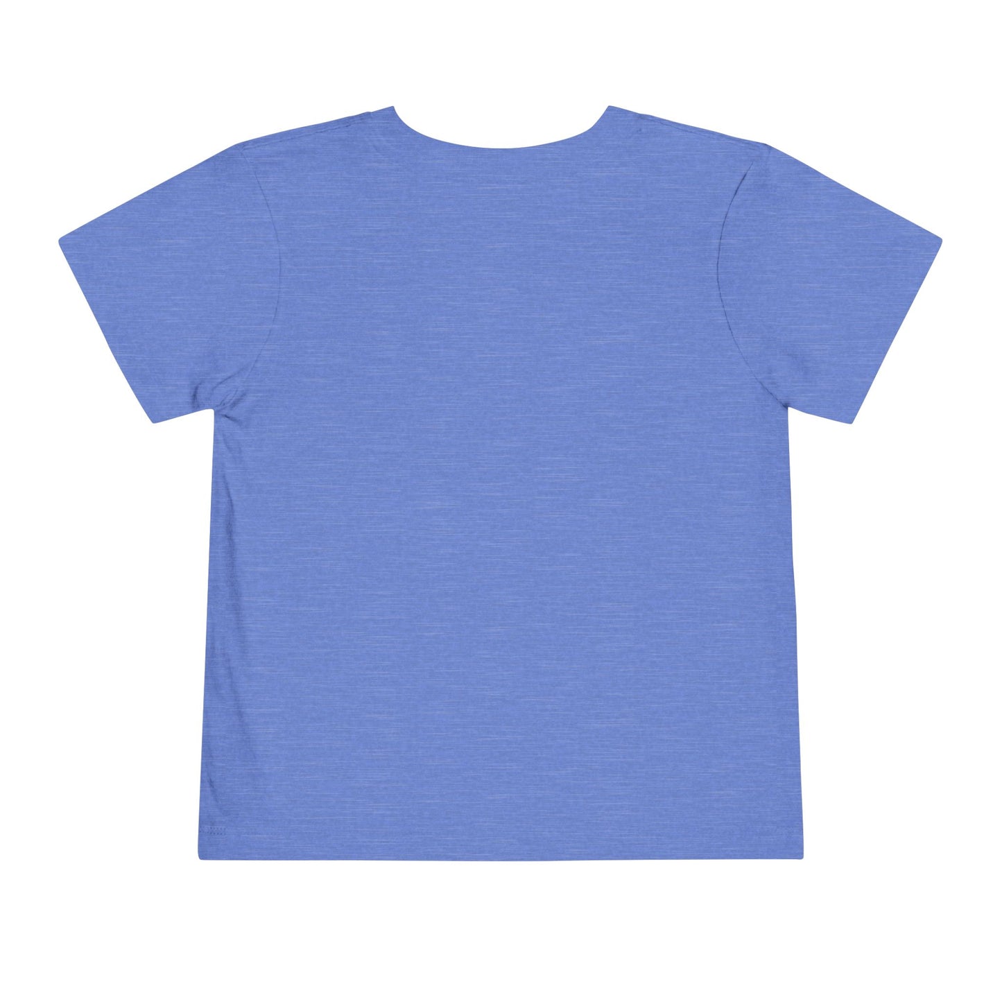 Fly it Like You Stole It - Toddler T-Shirt