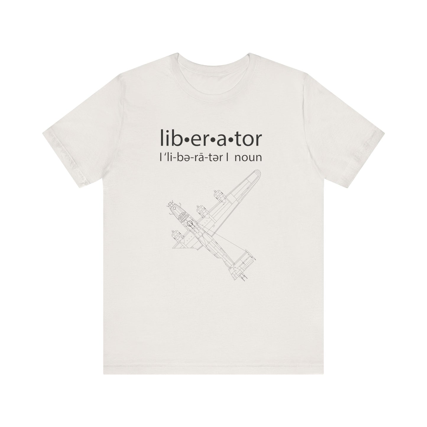 B-24 Liberator (Defined)