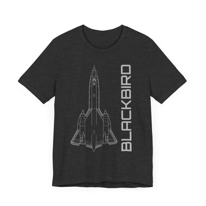 SR-71 Blackbird (Precision)