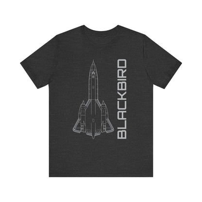 SR-71 Blackbird (Precision)