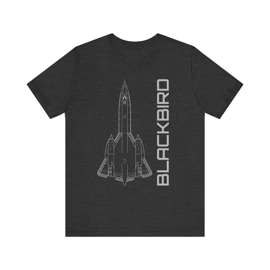 SR-71 Blackbird (Precision)