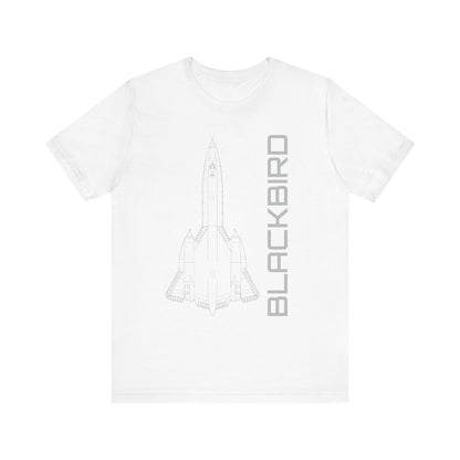 SR-71 Blackbird (Precision)