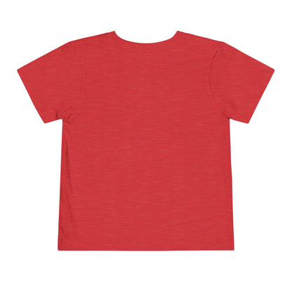 Fly it Like You Stole It - Toddler T-Shirt