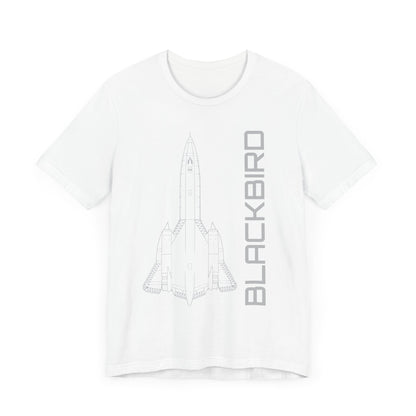 SR-71 Blackbird (Precision)