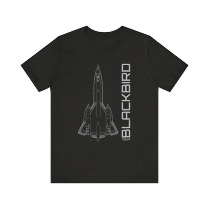 SR-71 Blackbird (Precision)